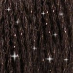 DMC Mouliné Étoile Embroidery Thread C3371 Black Brown