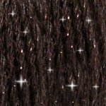 DMC Mouliné Étoile Embroidery Thread C3371 Black Brown - Lucky Jonquil - Thread & Floss