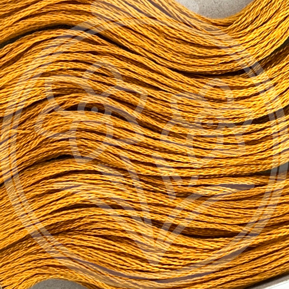 Cosmo 6-strand Floss, 703 - Lucky Jonquil - Thread & Floss