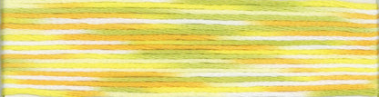 Cosmo Seasons Variegated 6-strand Floss 9000 Series